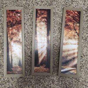 Set of 3 Autumn Forest Framed Wall Art Prints